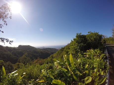 Ridge overlooking Honolulu
